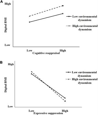 Research on Digital Business Model Innovation Based on Emotion Regulation Lens